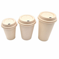 Sugarcane Water Cups from mmcis china